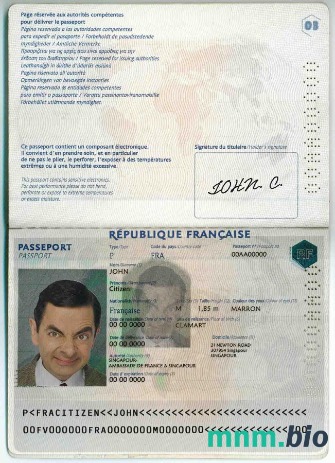 Przykład paszportu Francji w formacie PSD, w pełni edytowalny